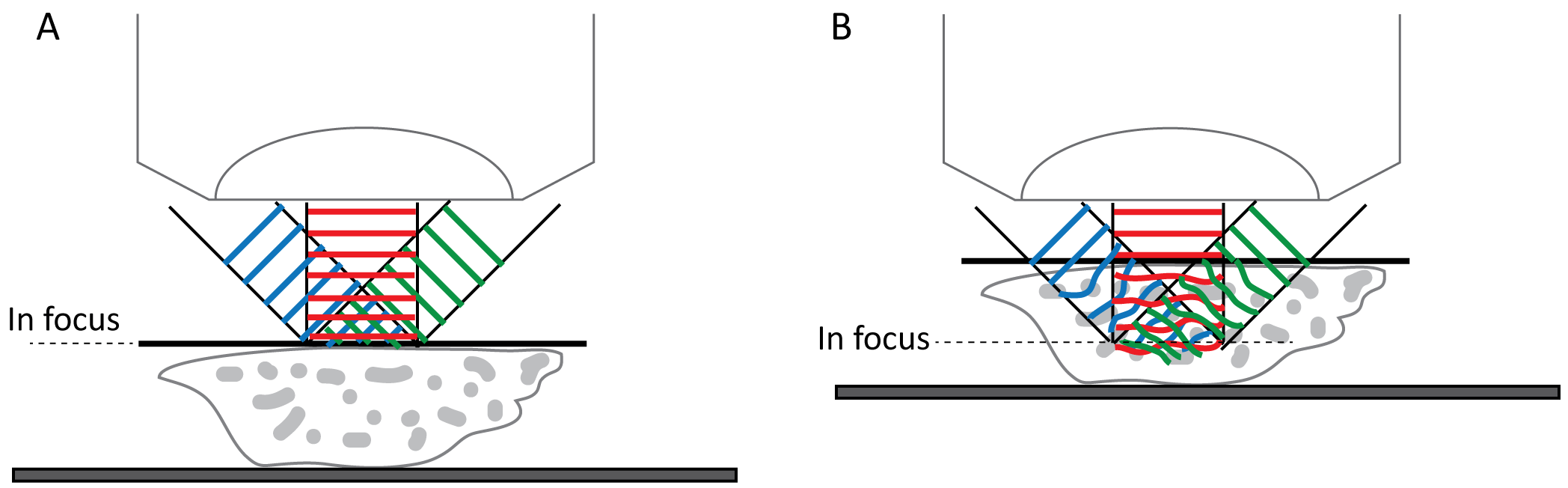 Figure 1. (A) Depiction of the ideal condition for producing interference fringes of the highest contrast in which the troughs of the fringes have zero intensity. Note that the three beams are nearly perfect plane waves and all s-polarized. (B) After the beams travel into the sample, the plane waves experience changes to their wavefronts and polarization state because of the inhomogeneity of the sample.
