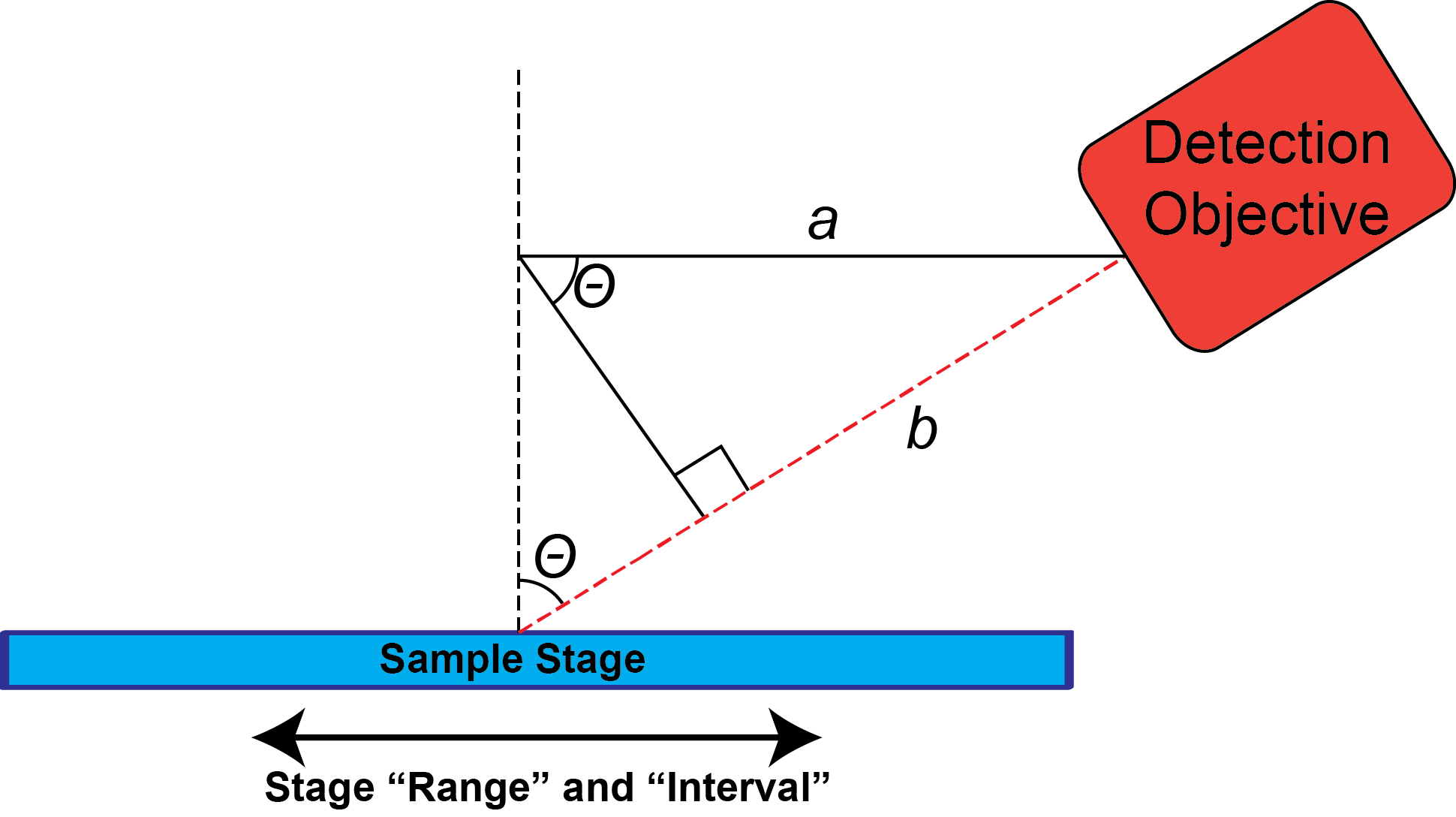 Figure 3. Schematic demonstrating orientation of detection objective relative to the sample stage.