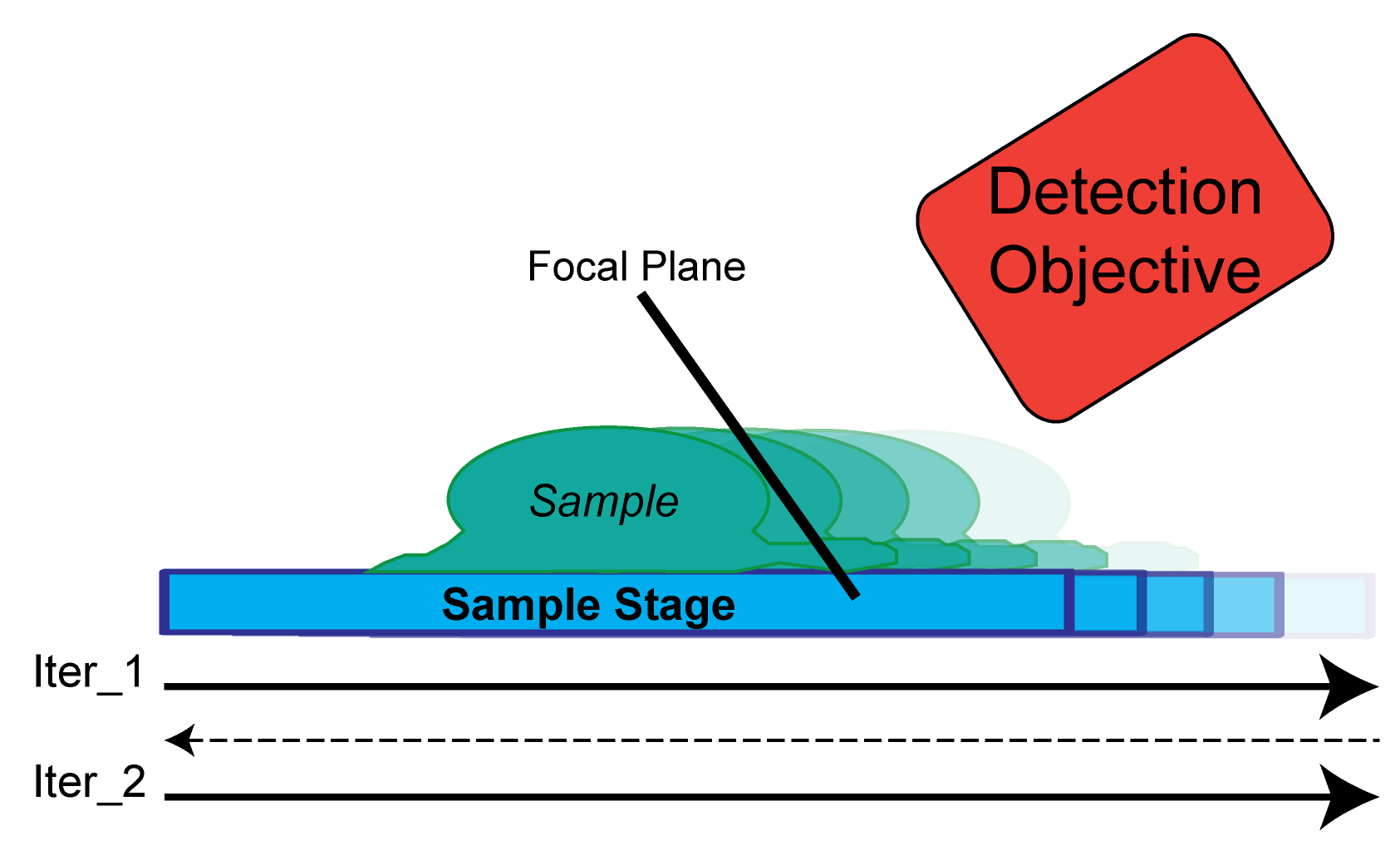 Figure 4. Schematic demonstrating sample position relative to focal plane of detection objective as it&rsquo;s scanned by the stage.