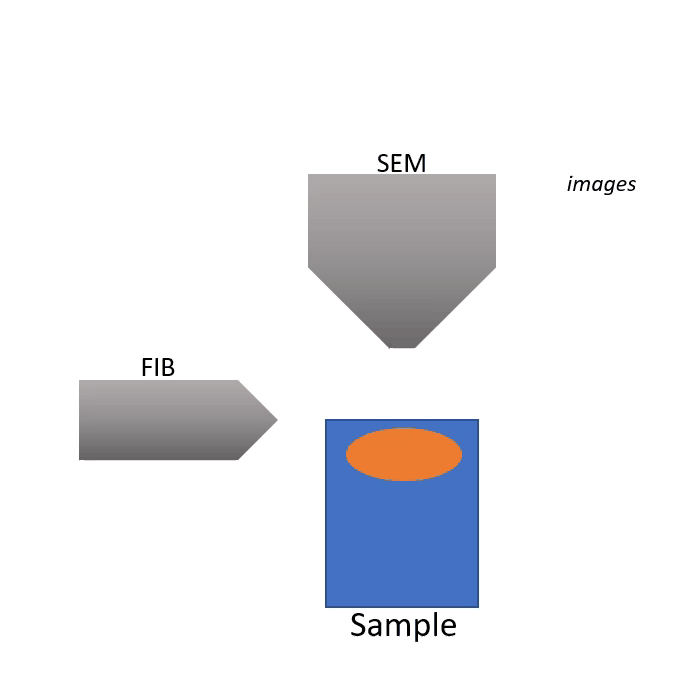 Figure 1. FIB-SEM operates via alternating SEM imaging and FIB milling cycles to build up a 3D image.
